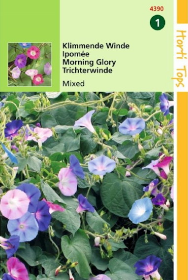 Morning Glory Mix (Ipomoea tricolor) 100 seeds HT